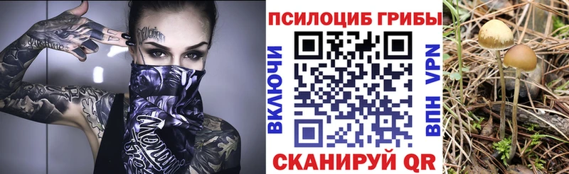ОМГ ОМГ зеркало  Лесозаводск  Псилоцибиновые грибы ЛСД 